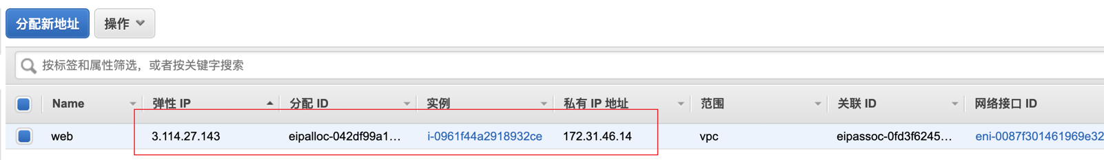 如何分配弹性IP（EIP），并绑定到EC2实例 - 图8