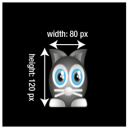 Cat's height and width changed - diagram